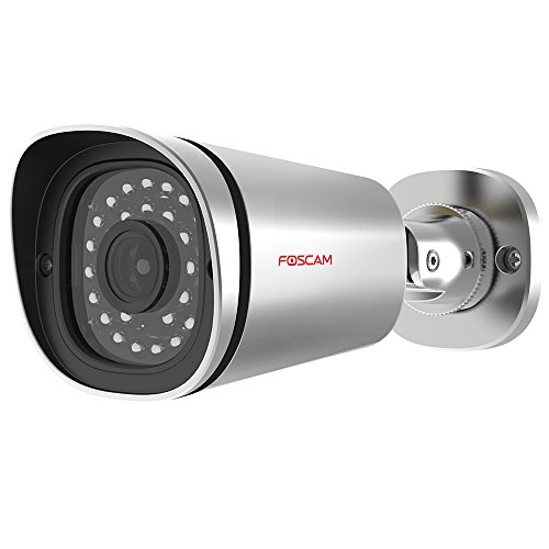 Foscam FI9901EP Camera