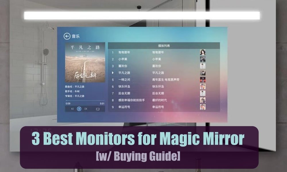 Best Monitor for Magic Mirror